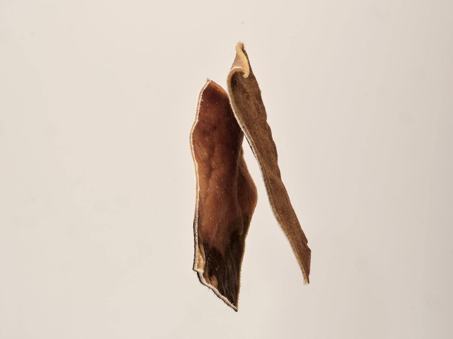 NÖTCHIPS